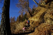 Monte Madonnino (2501 m) da Valgoglio ad anello il 17 dicembre 2015 - FOTOGALLERY